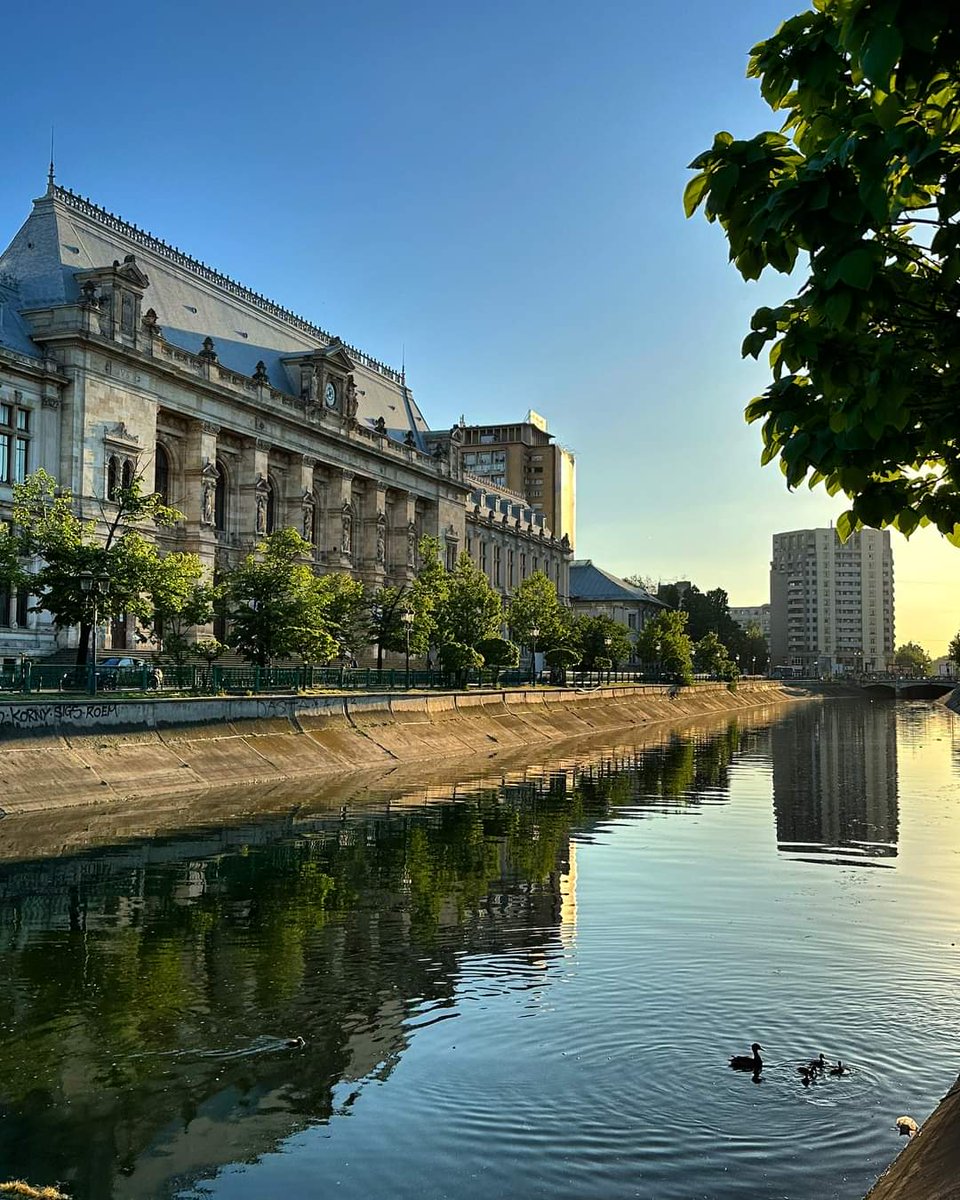 📸Spotted - The momma duck taking her cute babies for a swimming lesson on the Dâmbovița River on a calm weekend day 🥰🦆 | #bucharest #bucuresti #visitbucharest 
©️Visit Bucharest 
#TraveltoRomânia