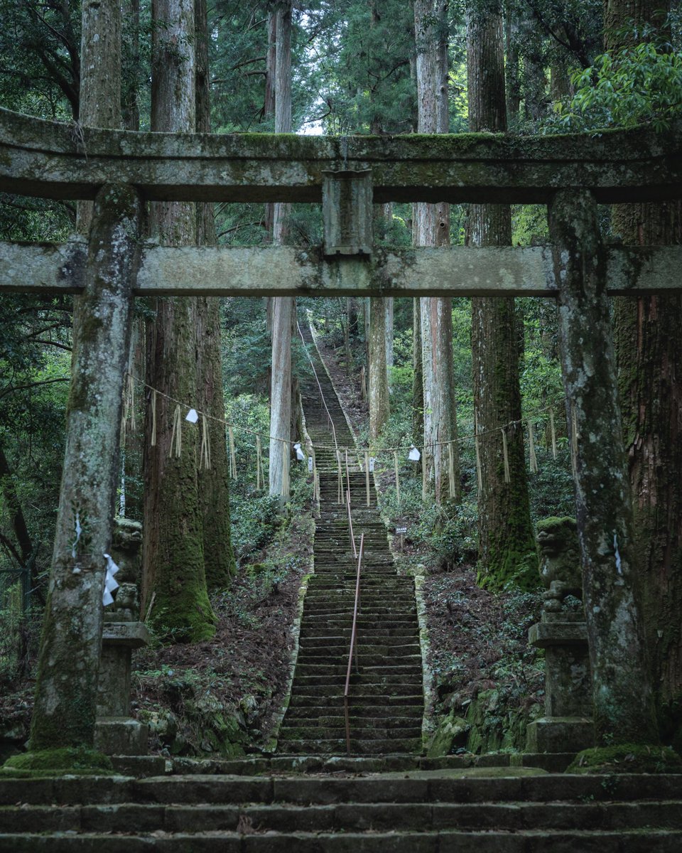 岐阜の神社の階段は異世界への通路のようだった