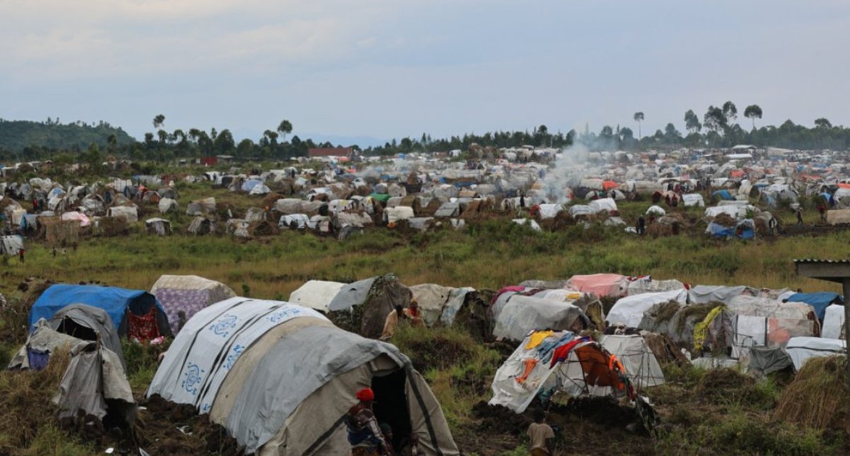 DikongueAngele's tweet image. Nous condamnons avec la plus grande fermeté cet acte de violence choquant, impitoyable et ignoble qui a coûté la vie à des enfants, personnes déplacées, et leurs hôtes de la manière la plus cruelle qui soit !
reliefweb.int/report/democra…