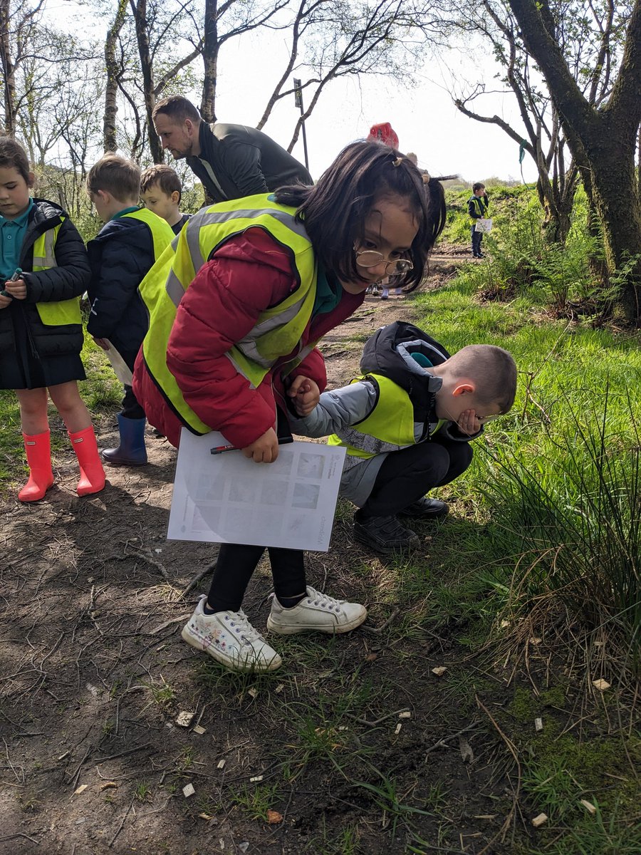 We went on a Minibeast hunt to Coves Reservoir and we found spiders, flies,  bees and butterflies. The butterfly landed on Mrs McClure and we all got to see it up close. It didn't want to leave!! #scienceskills
#outdoorlearning
@st_josephps