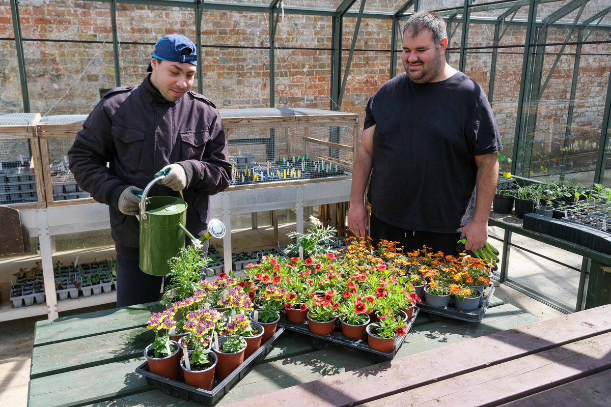 We are pleased to announce bedding plants are now available from our award-winning Walled Garden. Please be aware they are not frost-hardy. #beddingplants #awardwinning #walledgarden #bookham #surrey #supportyourlocalcharity