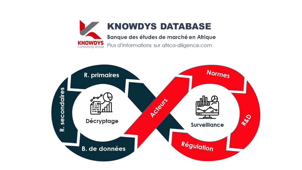 Knowdys Database - Une banque de données dédiée aux études de marché en Afrique
#Knowdys #IntelligenceEconomique #EtudedeMarché #MarchésAfricains #businessintelligence