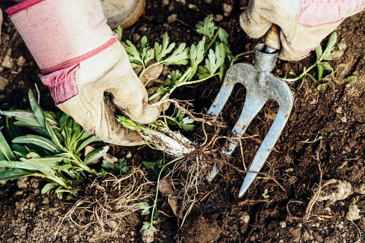 Giving the garden a tidy ahead of the summer? Composting, our garden waste service and our household waste recycling centres all offer the cleanest way for getting rid of your garden waste. For safety advice please visit: ow.ly/gOvc50Rsshf