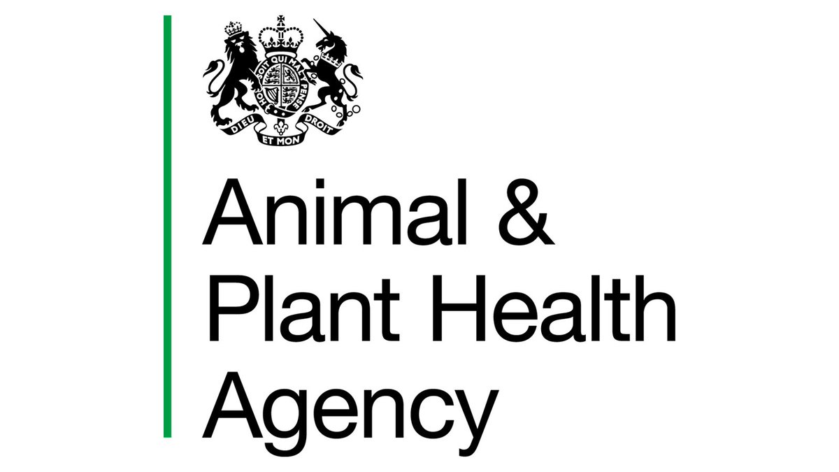 Admin Team Leader required at The Animal and Plant Health Agency in New Haw Info/Apply: ow.ly/mbuz50RtbIj #RunnymedeJobs #SurreyJobs #AdminJobs 

@APHAgovuk