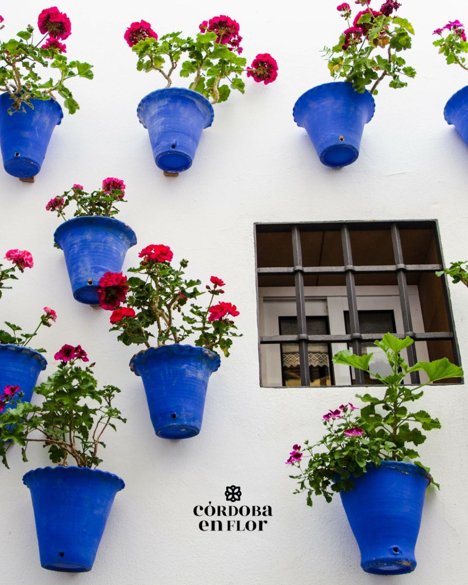 Cada rincón de Córdoba esconde una historia. 📖 Descúbrelas en 👉 cordobaenflor.es  #PatiosDeCórdoba #CórdobaEnFlor