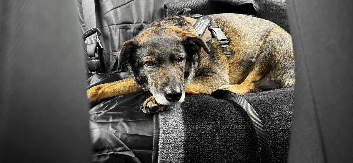 _Rob_Carter's tweet image. En route to Stirling to film the biggest game of the season for @AnnanAthleticFC. The wife and her wee sidekick are coming too but not to the match unfortunately, I think Lola would suit an Annan top! ⬛️🟨