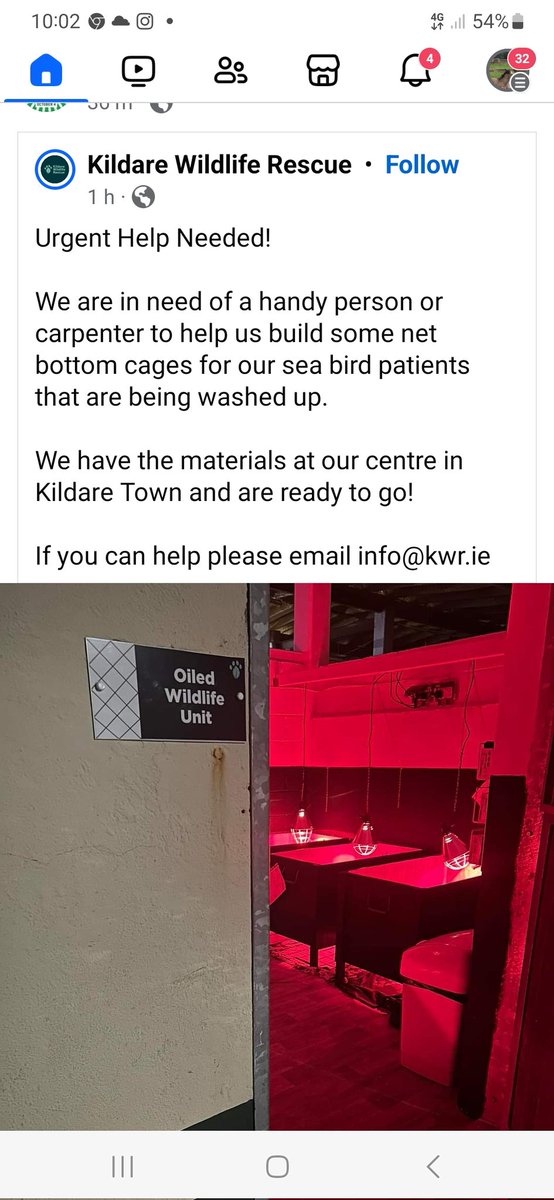 #Carpenterwanted in #Kildare pease share #Wildlife