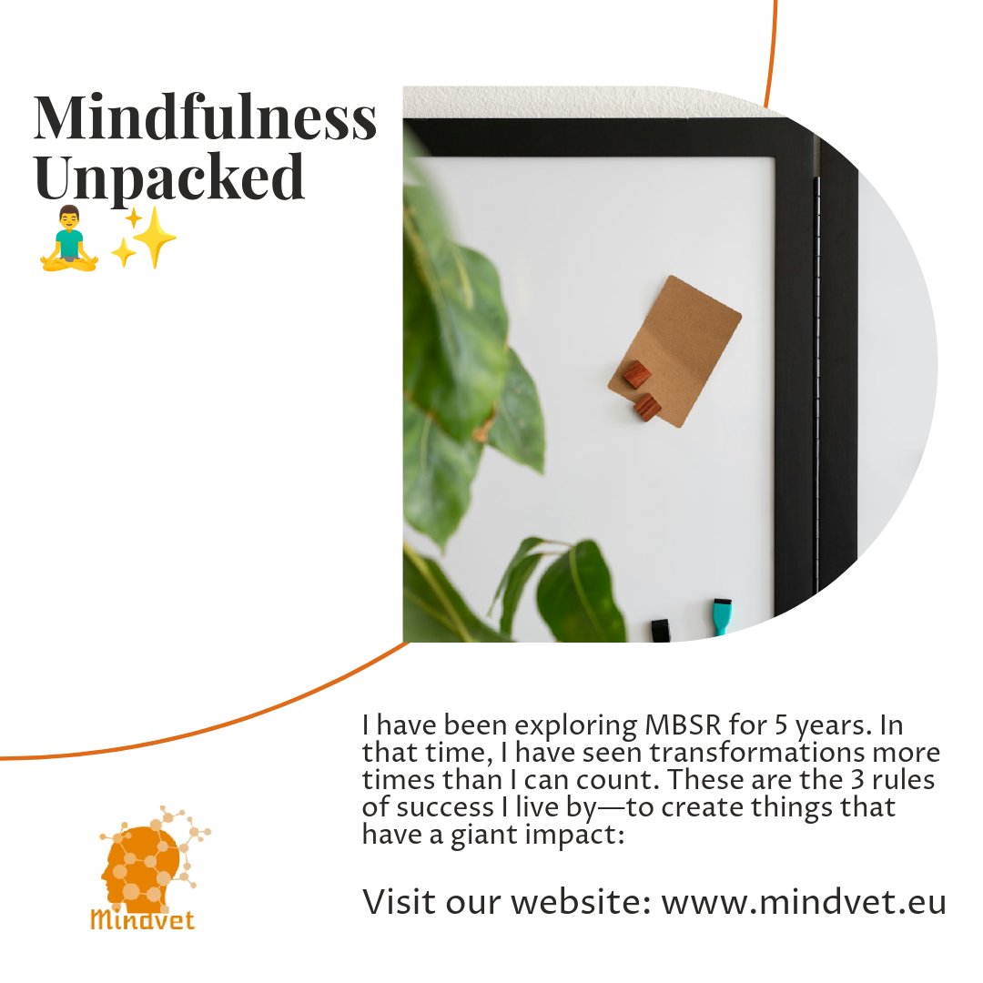 1. Practice daily, no excuses 🌞 2. Be patient with yourself 🐢 3. Share your journey with others 👐 Mindfulness is a game-changer! 🌟 Visit our website: mindvet.eu #Mindfulness #MBSR #StressFree #meditation #mindfulness #well-being# mentalhealth
