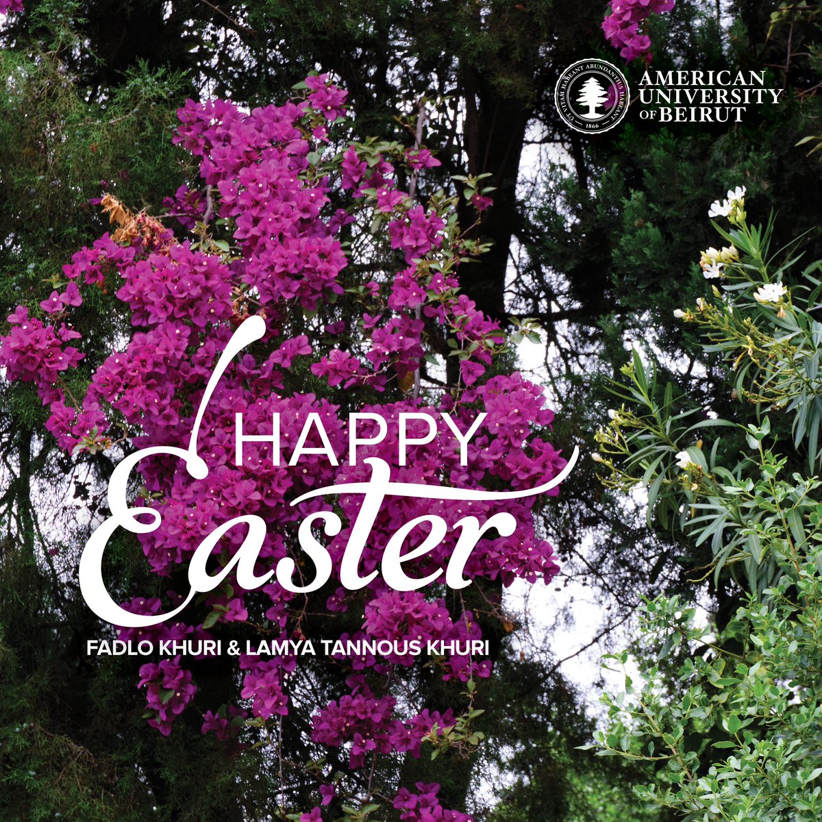 Happy Easter from Lamya and me. We continue to work and pray for better days and for peace on earth for all.