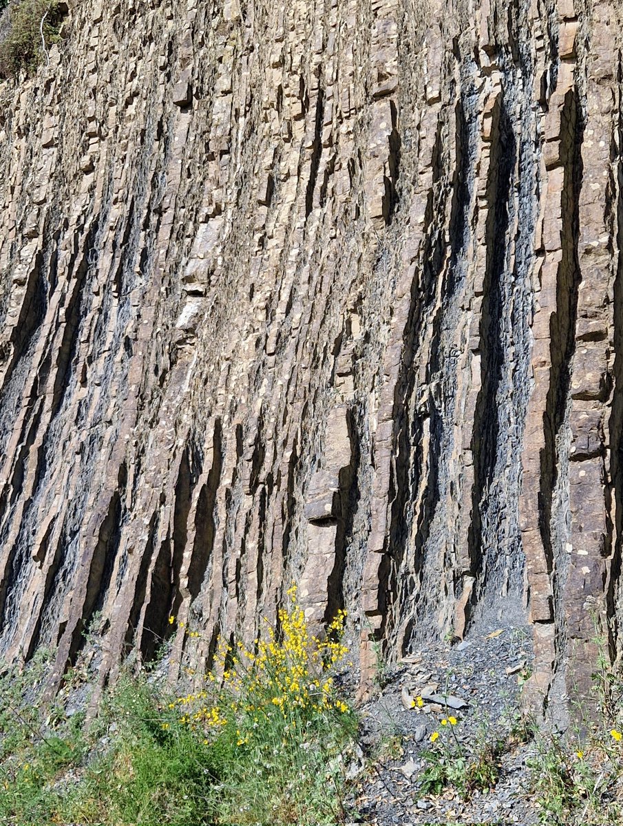 Alternation of layers of sandstone (lighter color) and slate (darker color) from the Devonian period, deformed by the Variscan orogeny, Cantabrian Mountains, Northern Spain