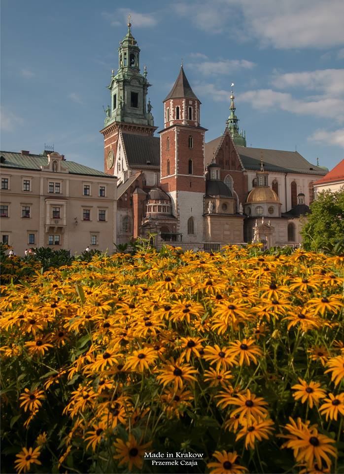 Zamek Królewski na Wawelu

Fot. Made in Krakow