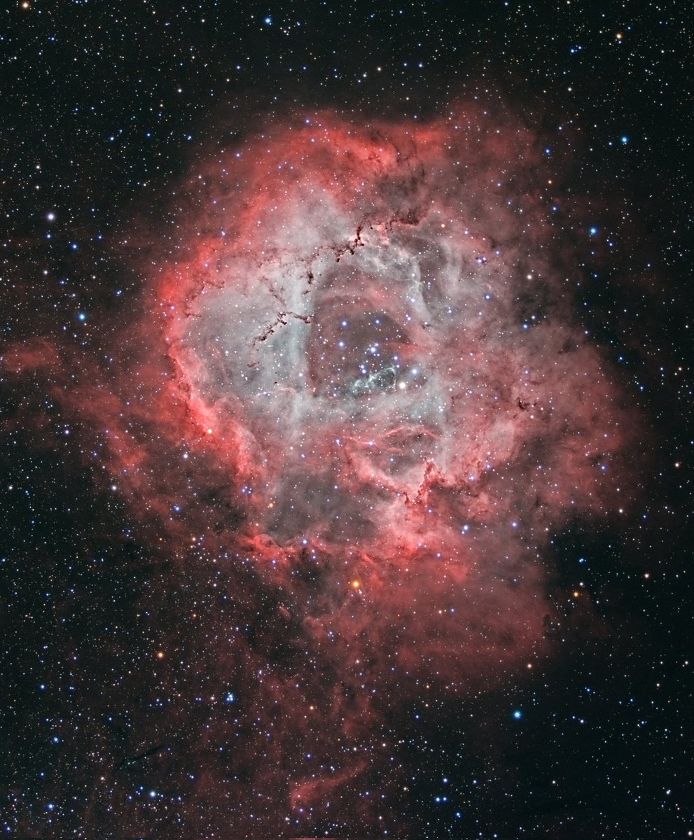 'A Cosmic Rose: The Rosette Nebula in Monoceros'
Image Credit &amp; Copyright: Jean Dean
apod.nasa.gov/apod/ap190412.… 04-12-2019
#astronomy #space