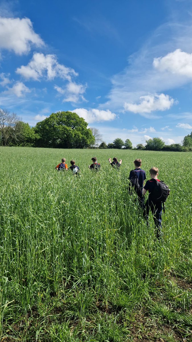 Felsted DofE tweet media