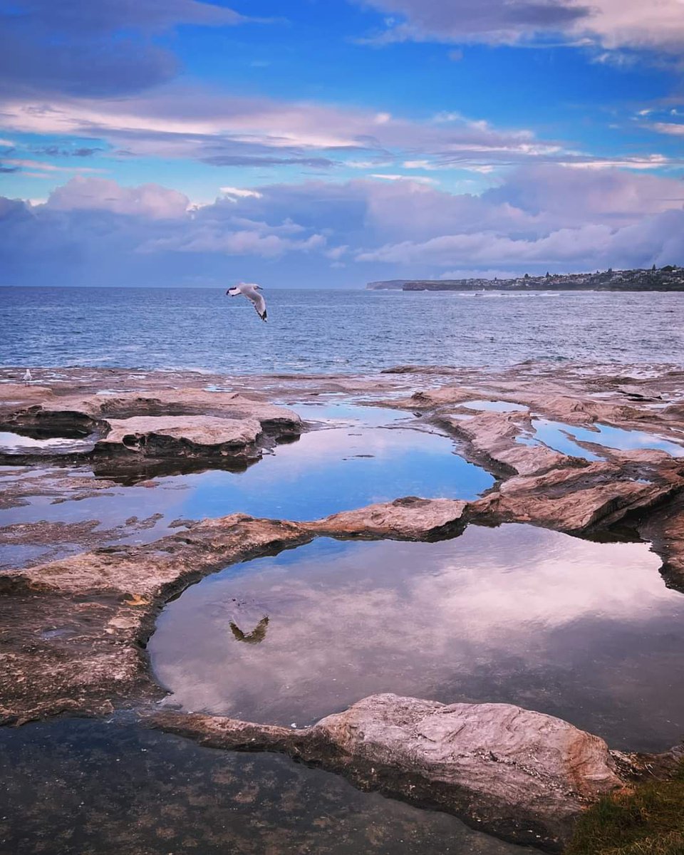 📍Sydney, Australia 

#travel #sydney #australia #beachlife #beachbum #coastalliving #love #nature #amaZing #travelplanner #weekend #roadtrip #chill #sea #ocean