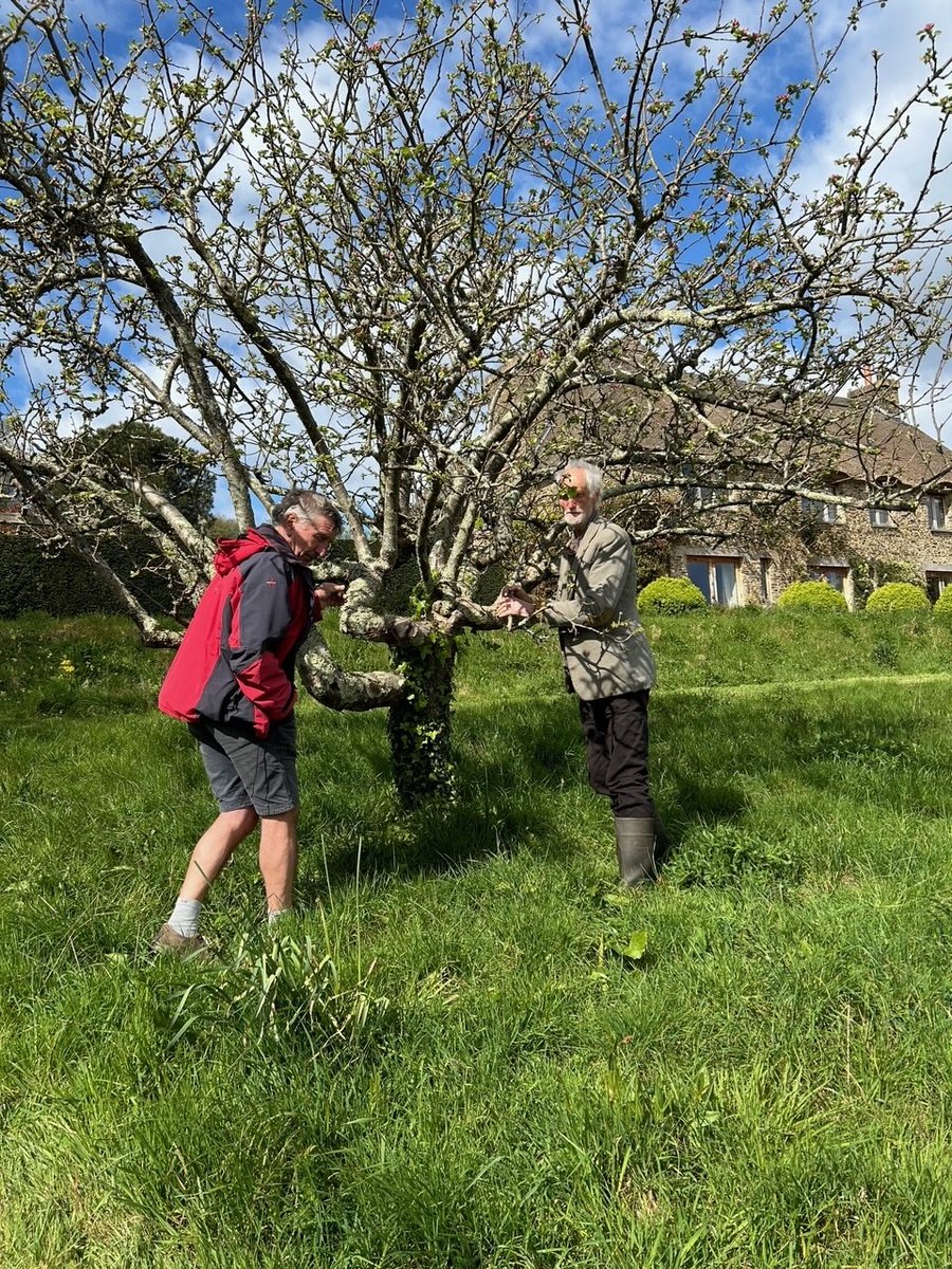As part of our #farminginprotectedlandscapes Dittisham Plum Project,  orchard expert Chares Staniland has visited the sites to give advice on the  precise location. @defra @naturalengland #orchards #heritageplums #dittishamplums #Devon #Dittisham #Riverdart #fipl