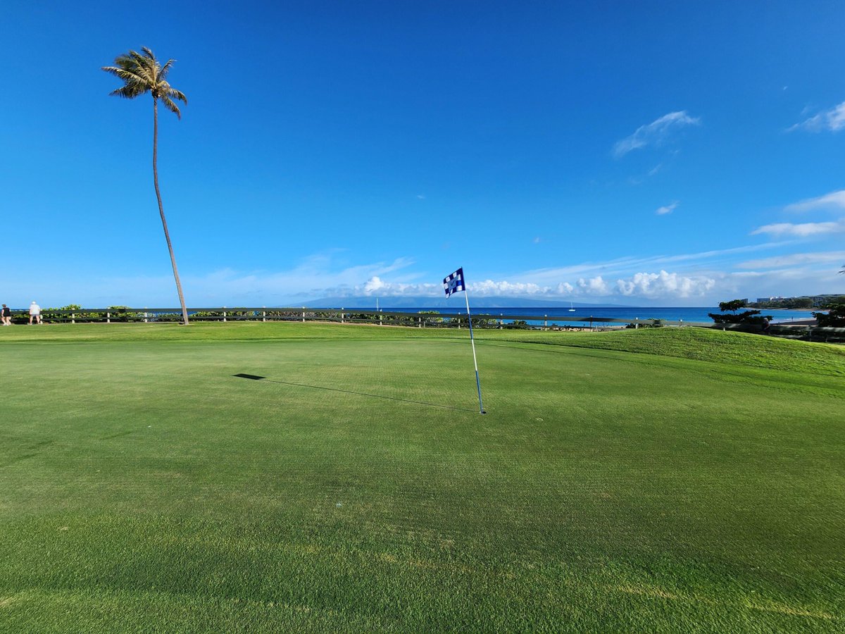 Maui didn't disappoint. My golf game does that.
 
fogolf.com/720172/maui-di…
 
#GolfFun