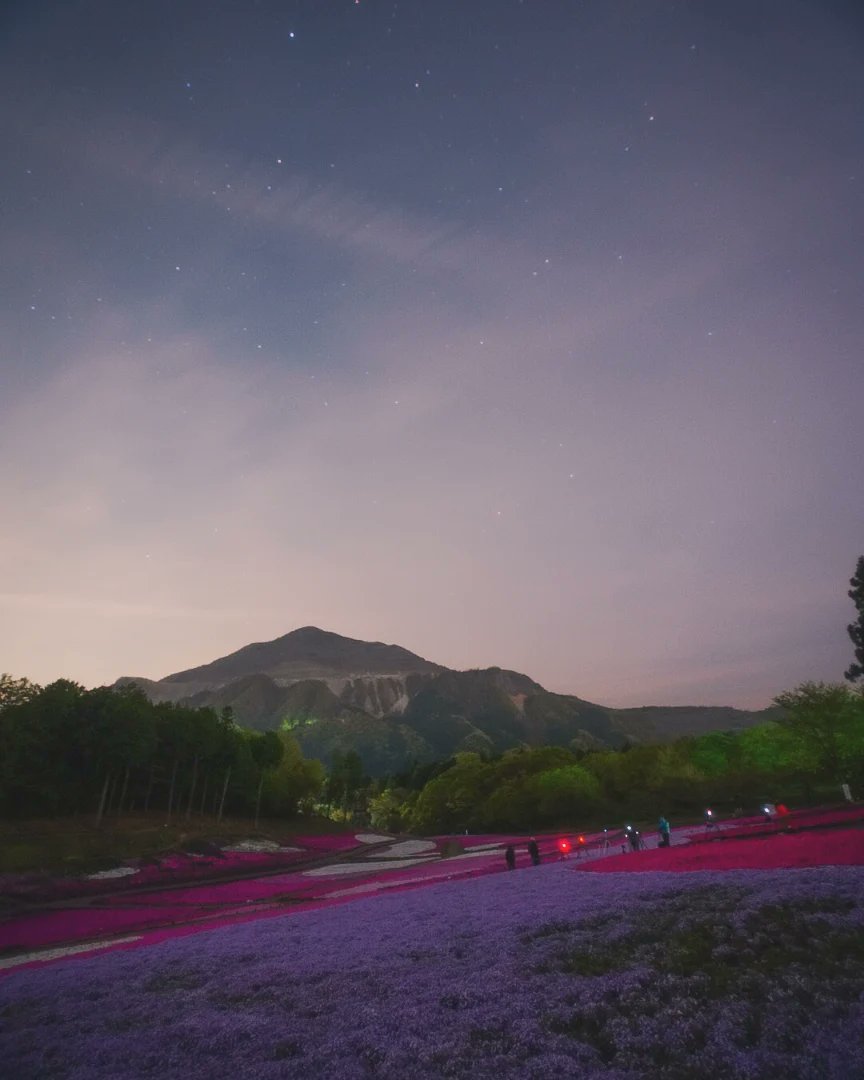 ピンクムーンと淡い星空の煌めき✨
最強の美しき芝桜の丘✨
天の川銀河以外も素晴らしい煌めき✨
#芝桜の丘 #羊山公園 #秩父観光 
#東京カメラ部 #西武鉄道