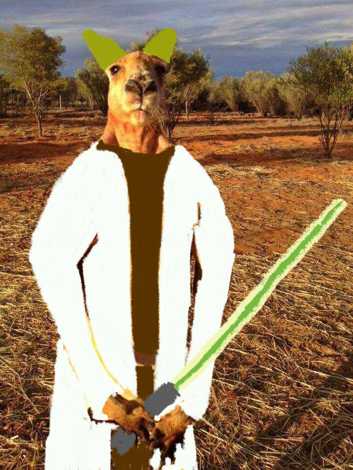 I literally can't get enough of this kangaroo, all of the memes are hilarious so i'm going to give away some of his coins. 100,000 ($200) $Roger giveaway - like - retweet - follow @shark5677 & @RogerCoinOnSol ends in 24 hours. May the 4th be with you