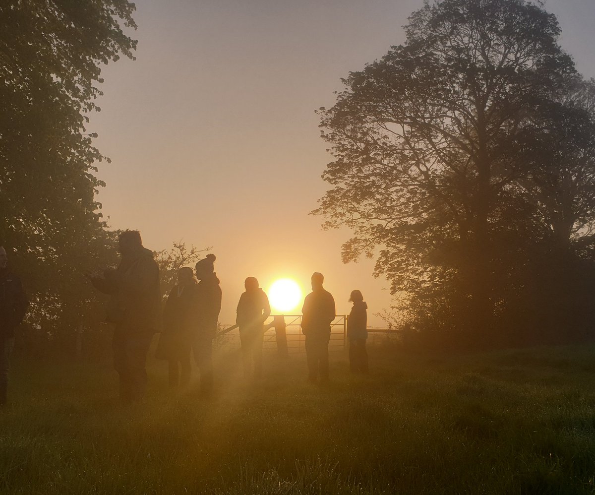 Fantastic weather for the dawn chorus walk this morning and raised £260 for @RABIcharity and @WiltsWildHosp. Most of the common birds heard plus Cetti's. And a kingfisher whizzing in and down!