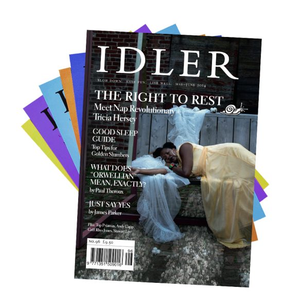 In our latest newsletter, Idler editor Tom brings to you highlights from our latest edition. Tell us your thoughts on Idler #96! You can read the full newsletter on our website: lnkd.in/e7tJrvie And sign up to receive weekly newsletters: ow.ly/6PRQ50QJZLg