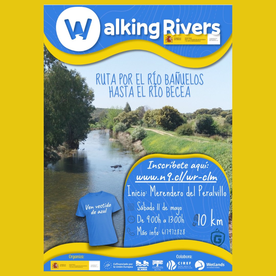 💧 La Confederación Hidrográfica del Guadiana celebrará la actividad Walking Rivers con rutas a pie en Badajoz y Ciudad Real. ¡Plazas disponibles SÓLO en la ruta LARGA de Badajoz! (17 kms).  🔗 Más información de la noticia: chguadiana.es/noticia/la-con… #Guadiana