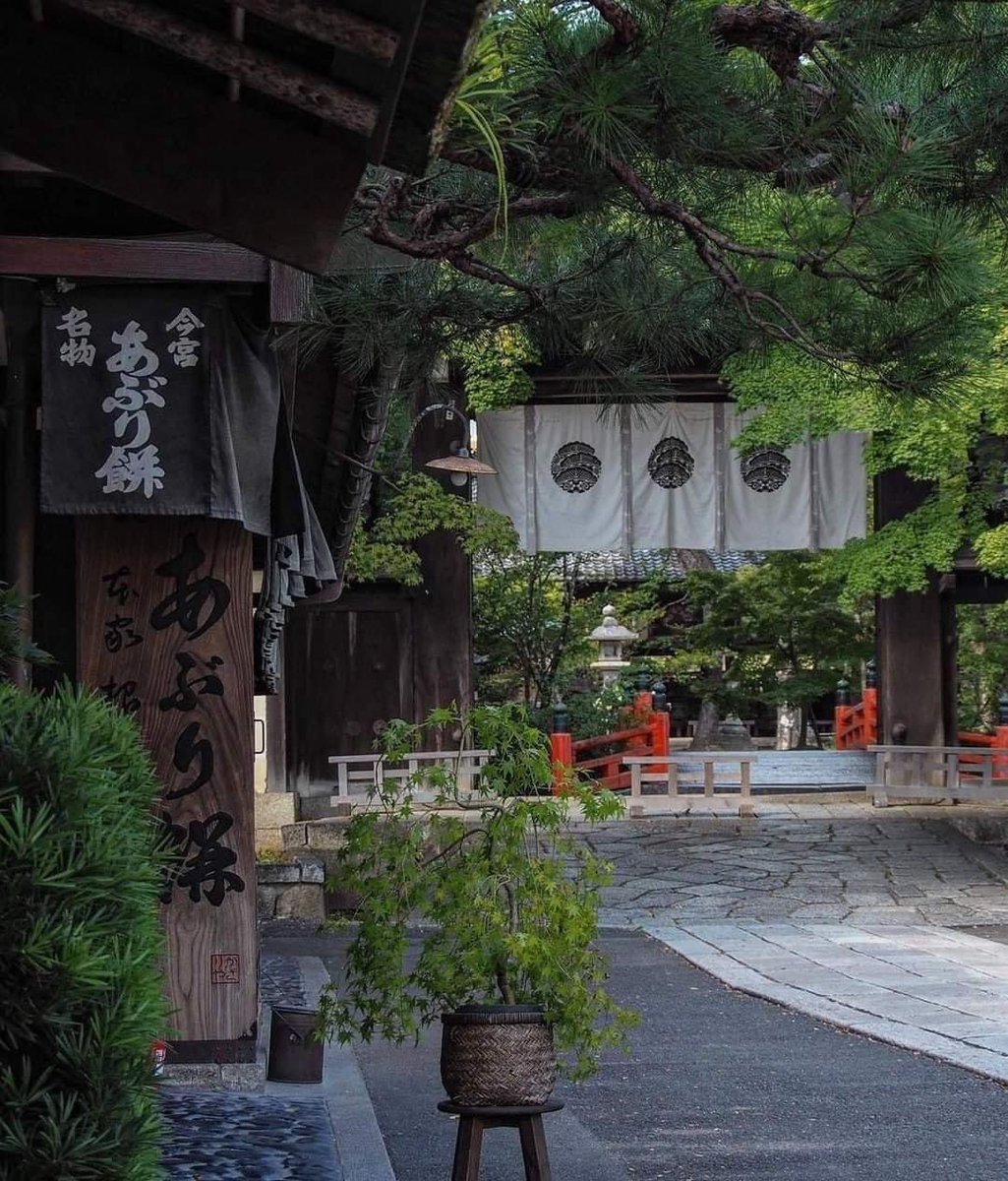 Kyoto Japan 🇯🇵