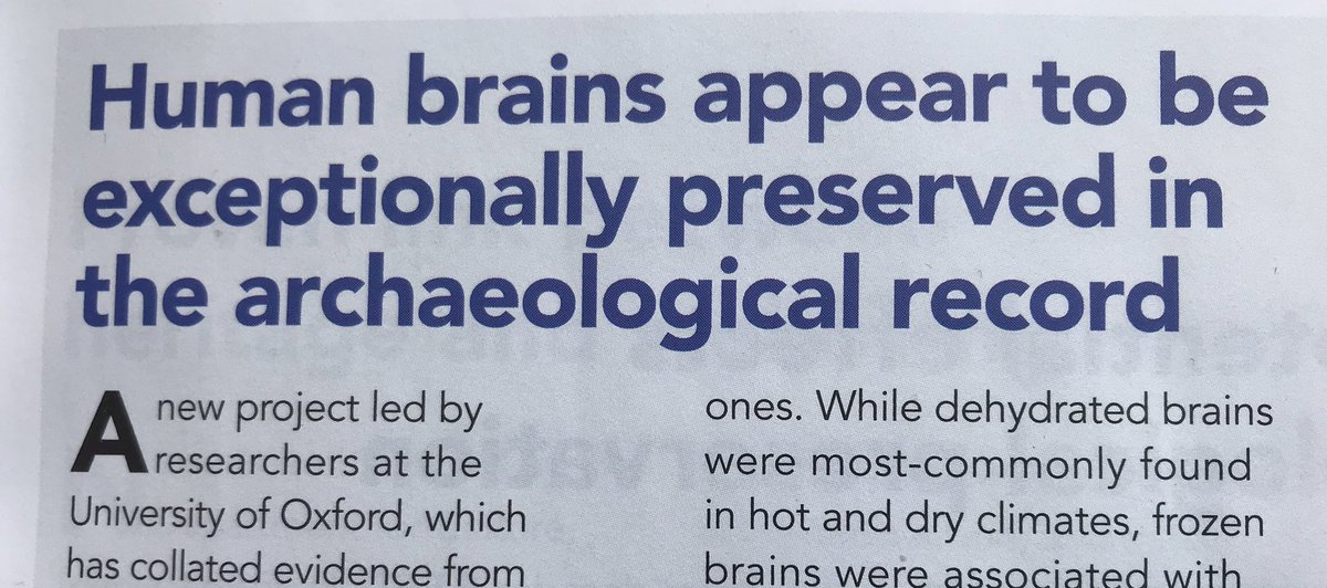 Reading in @CurrentArchaeo about how the brain is the most commonly surviving soft tissue in archaeological remains going back 12,000 years, and all I can think about is: What a gift to the writers of science fiction!