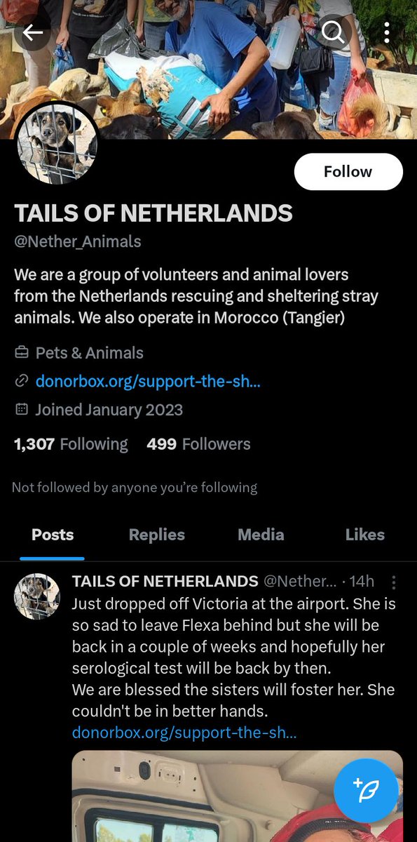 Just come across this across this account @Nether_Animals. Far be it from me to suggest it is a scam, but if it is a genuine rescue, why would you limit who can reply??🤔🤔🤔