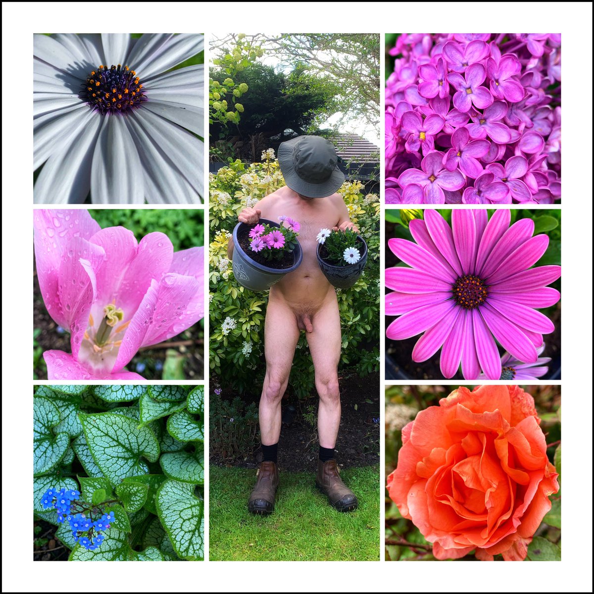 It’s here!!! World Naked Gardening Day! The sun is shining and it’s actually warm ish 😄 A spot of gardening this morning mainly moving pots! Where shall I put these? 🤔 Have a fabulous day whatever you are doing ❤️ #WNGD2024 #NakedGardener #GardeningX #SixOnSaturday #MayThe4th