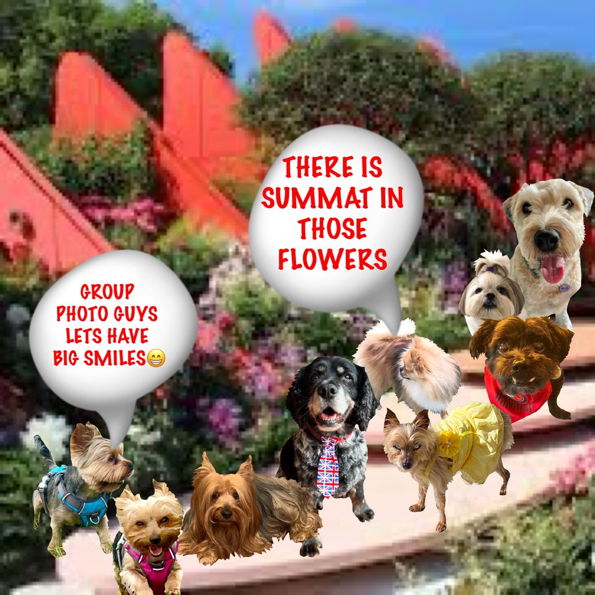12 #zzst 🌺💐🪻🪷🌻🌷🌹🌸🌼🌺💐🪻🪷🌻🌷 OH LORD - BILLY WANTS A PHOTO FOR HIS ALBUM.... BUT THERE IS SOMTHING IN THOSE FLOWERS BETTER SORT THE ZOMBIE OUT FIRST YEHHHHHH