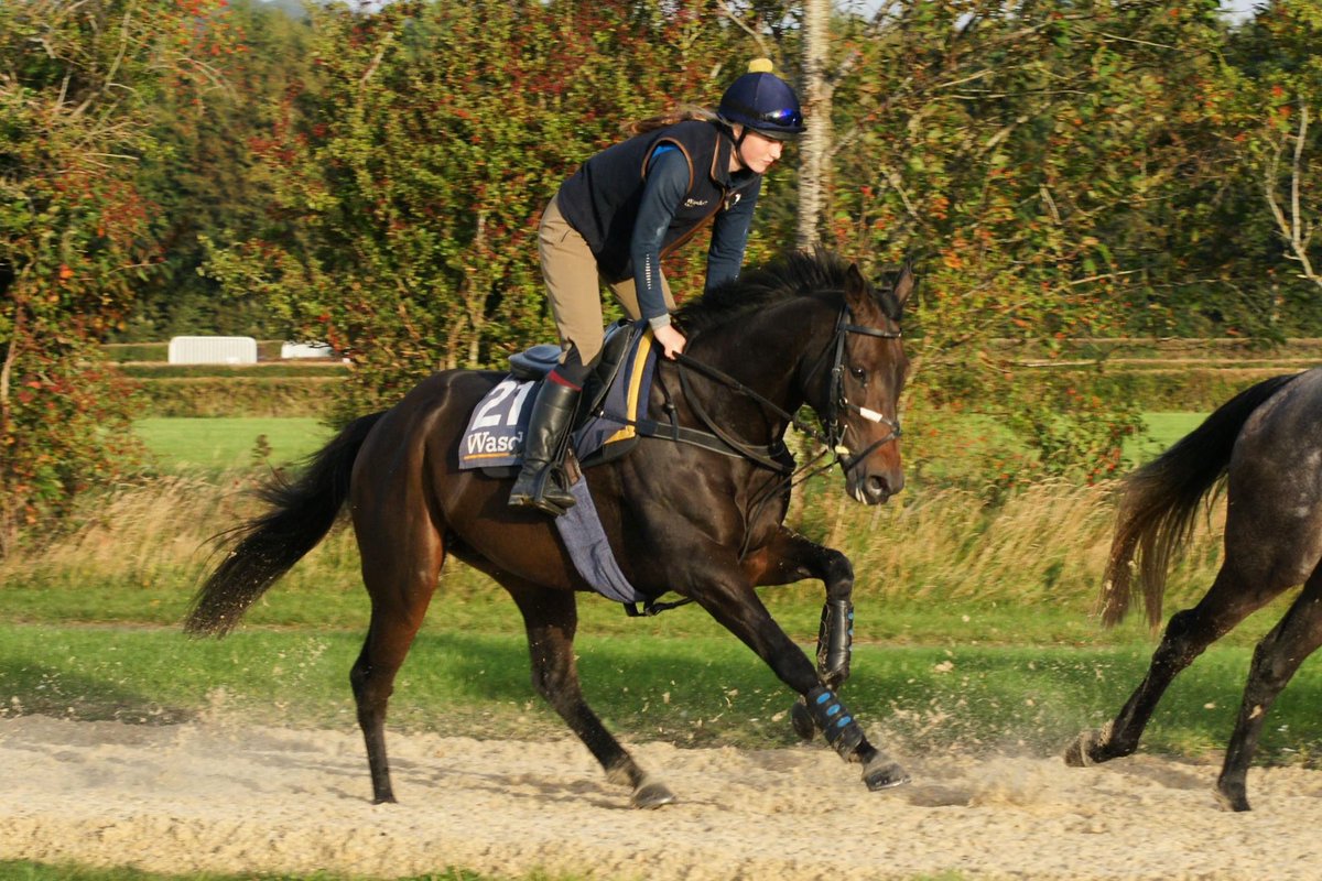 We have two runners today.

At Uttoxeter, Robbie Dunne rides Icare Allen in the 5.10 Handicap Hurdle.

At Hexham, Jonjo Jr. rides Wilful (pictured with Verity) in the 6.45 Novices’ Hurdle.