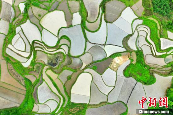 The rural farmlands resemble a palette of colors on the earth in southwest China's #Chongqing. #AmazingChina