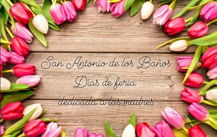 En próximos días realizarán en #SanAntonioDeLosBaños una feria dedicada a las madres.