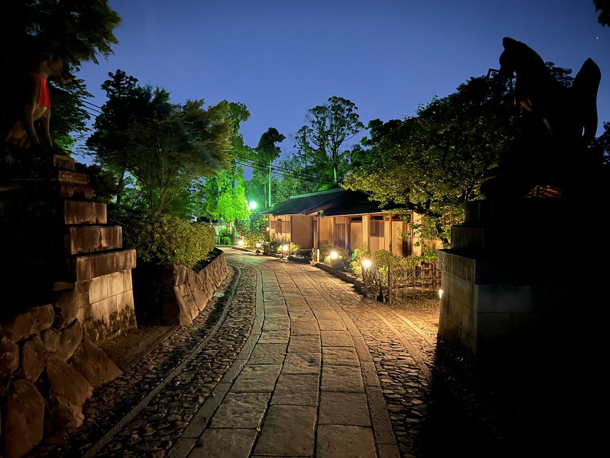 J’avais accompli un rêve en me rendant à Fushimi Inari en 2019, et je voulais y retourner de nuit un jour. C’est désormais chose faite et c’était peut-être encore plus magique. 🧡

(et en plus y a quasi pas de touristes, enfin un endroit épargné, ça fait tellement de bien bordel)