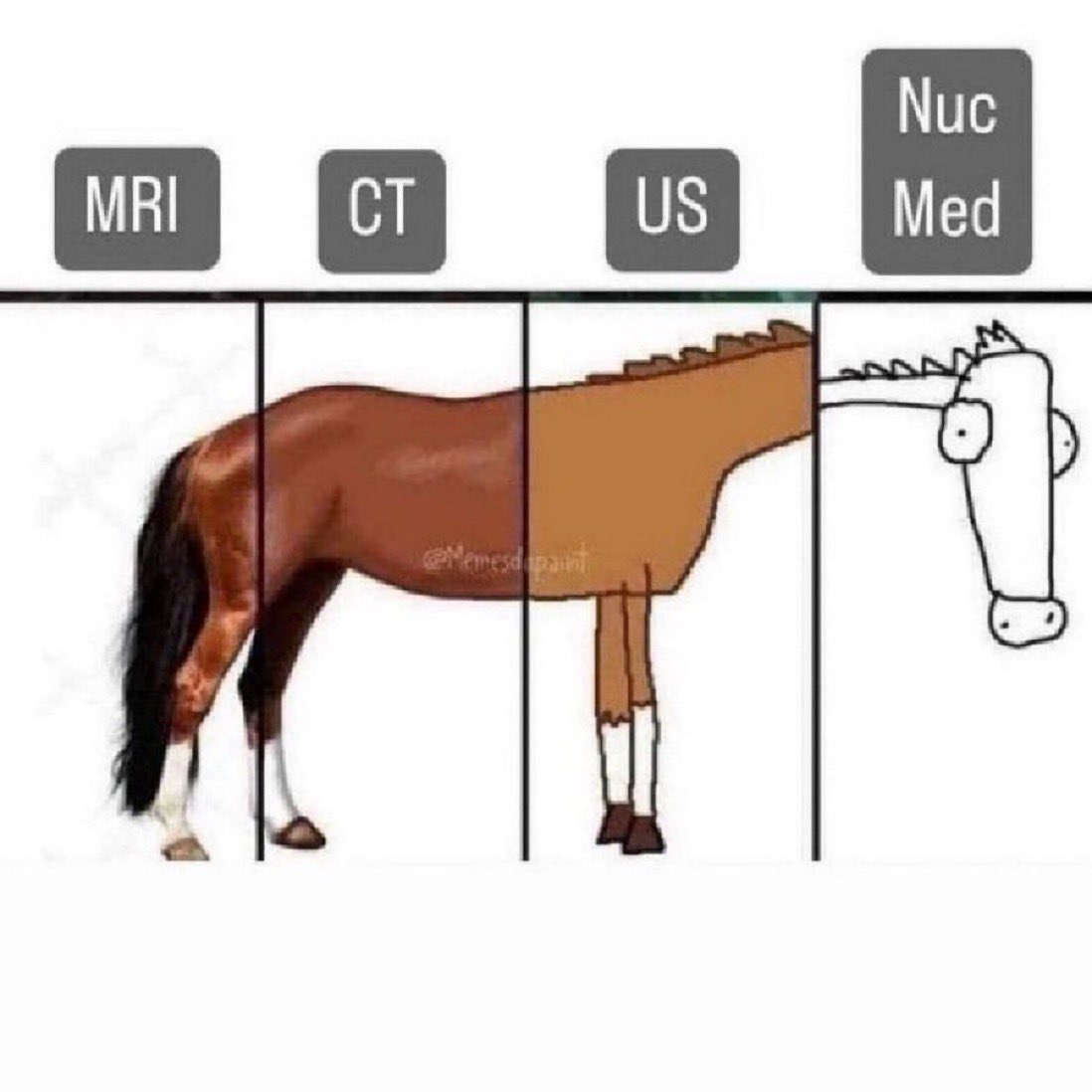 #Radiology humor…accurate 🐴