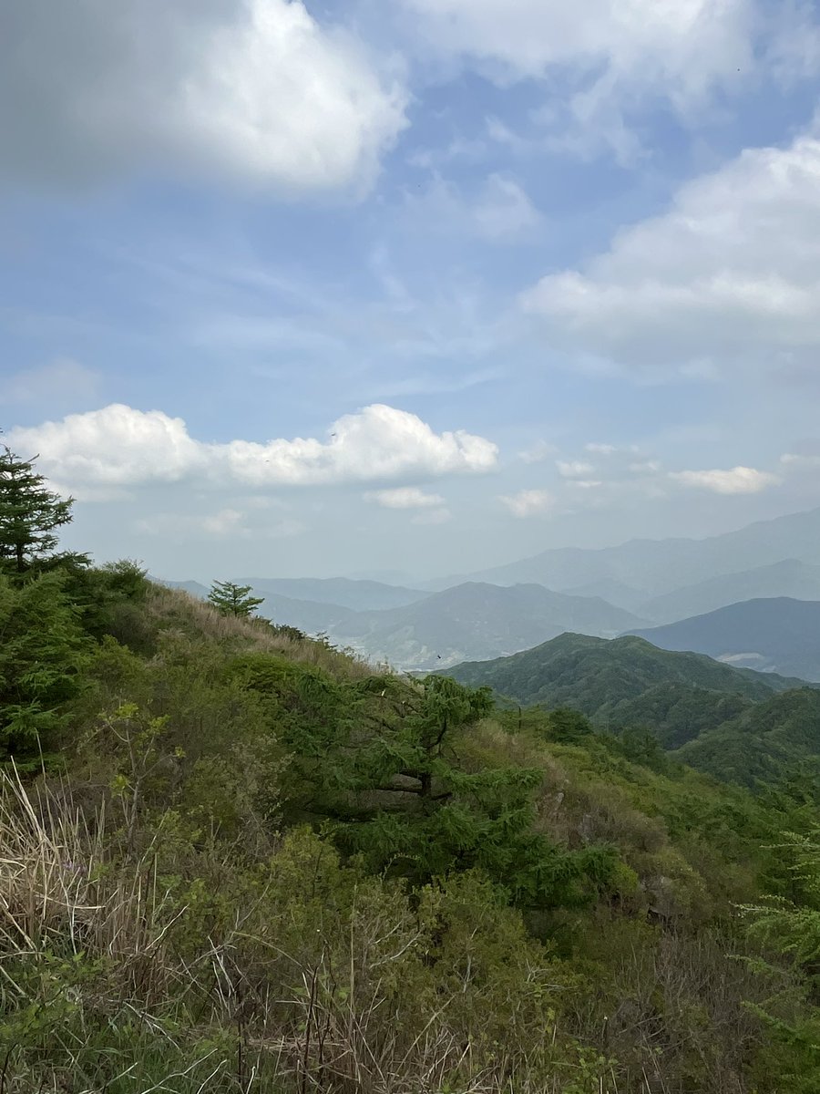 철죽은 제대로 못봤지만 나는 지리산자락이 너어무 좋다