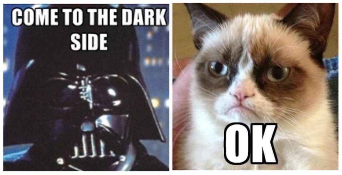Happy Caturday, and May the Fourth be with you! #Caturday #cats #MayTheFourthBeWithYou #starwars #Memes