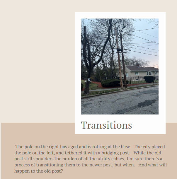 David Lee tweet media