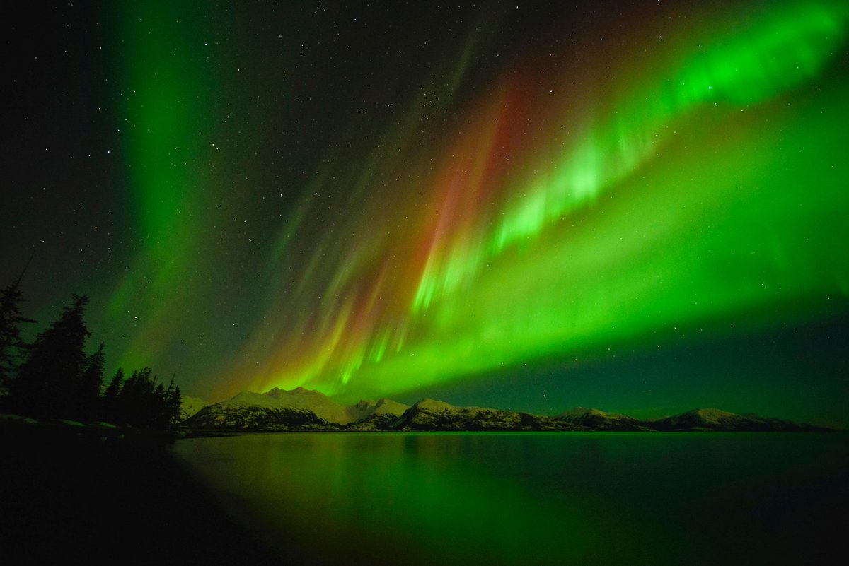 Aurora lights. Anchorage AK 😍
