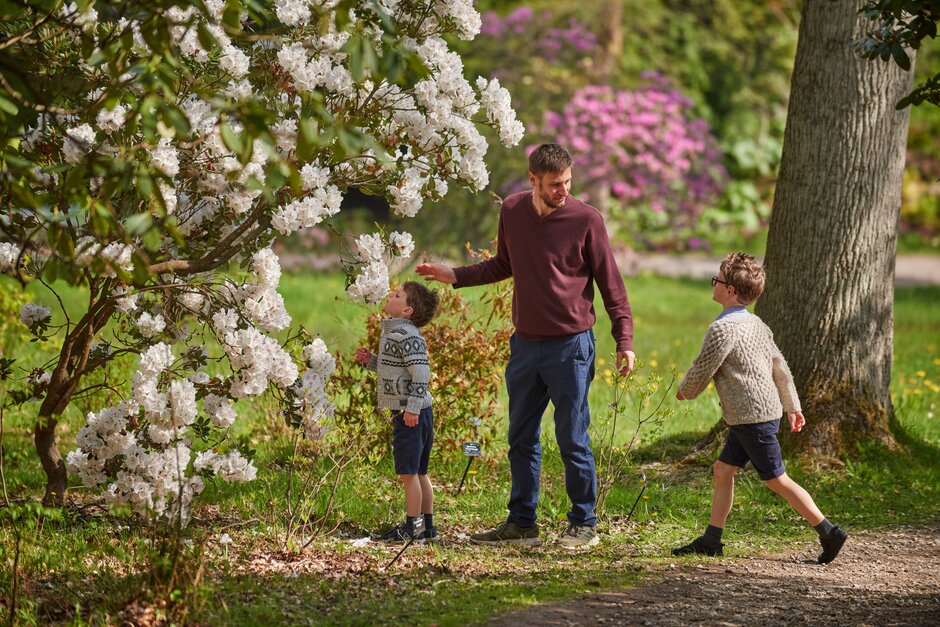 Looking for something to do with the kids this bank holiday? Why not head to RHS Harlow Carr for some fresh air! Plus we have some great play areas including the Logness Monster, Spiders Nest and Craggle Top Tree house for the kids to really use up some energy! #RHSHarlowCarr
