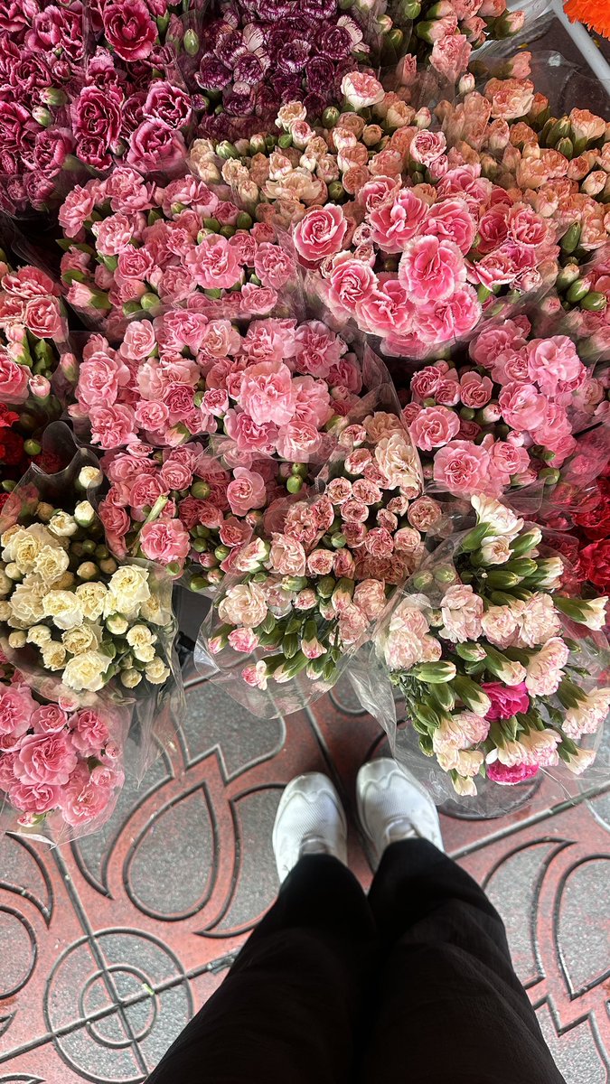 meena_sumonta's tweet photo. Flower make me Happy ❤️💦🍃☺️
#flower #lover #bkk #bkklife https://t.co/Xk7ktS3ukT