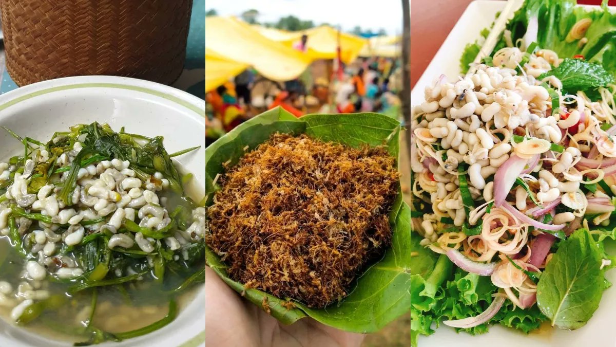सिर्फ चटनी ही नहीं, सलाद और सूप बनाकर भी खाते हैं चींटियां, जानें विदेशों में मिलने वाले इसके अजीबोगरीब व्यंजन

hindi.newsboxer.com/blog/blogdesc/…

#food #foodlover #recipe #recipeoftheday #worldfood
#WorldFoodDay