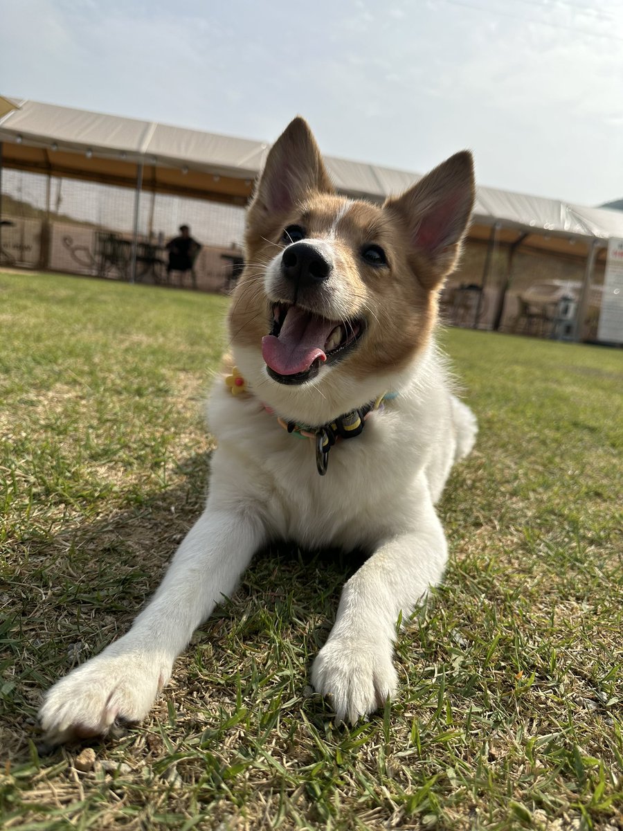 (        맨날 맨날           )
         (        어리니날?이믄         )
              (         조케따          )
                              O
                             0
                                o