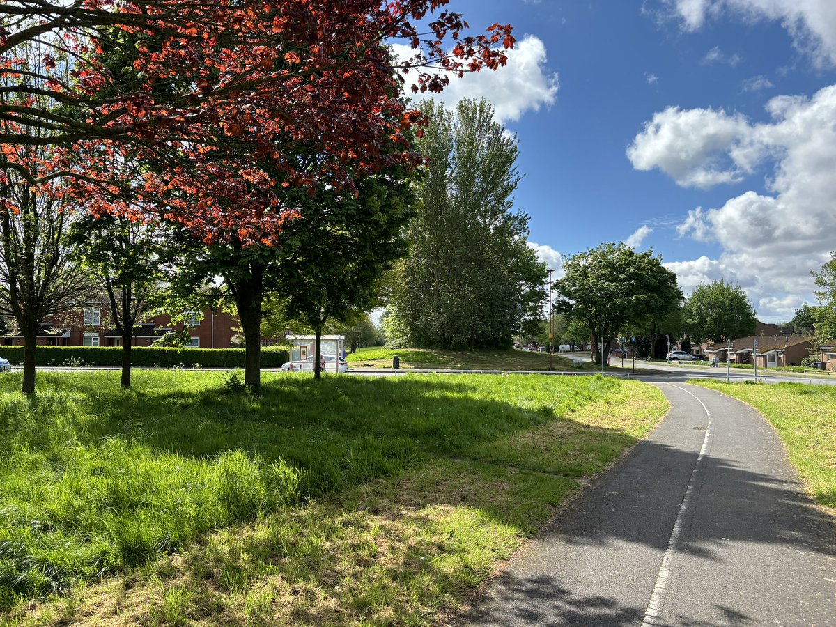 These green corridors that run through the city are so important to #BrumsBirdlife and the rest of Nature. 

Obviously that includes us! 
#health #wellbeing #sanctuary 

Please all follow @BOSFonline & share 😎