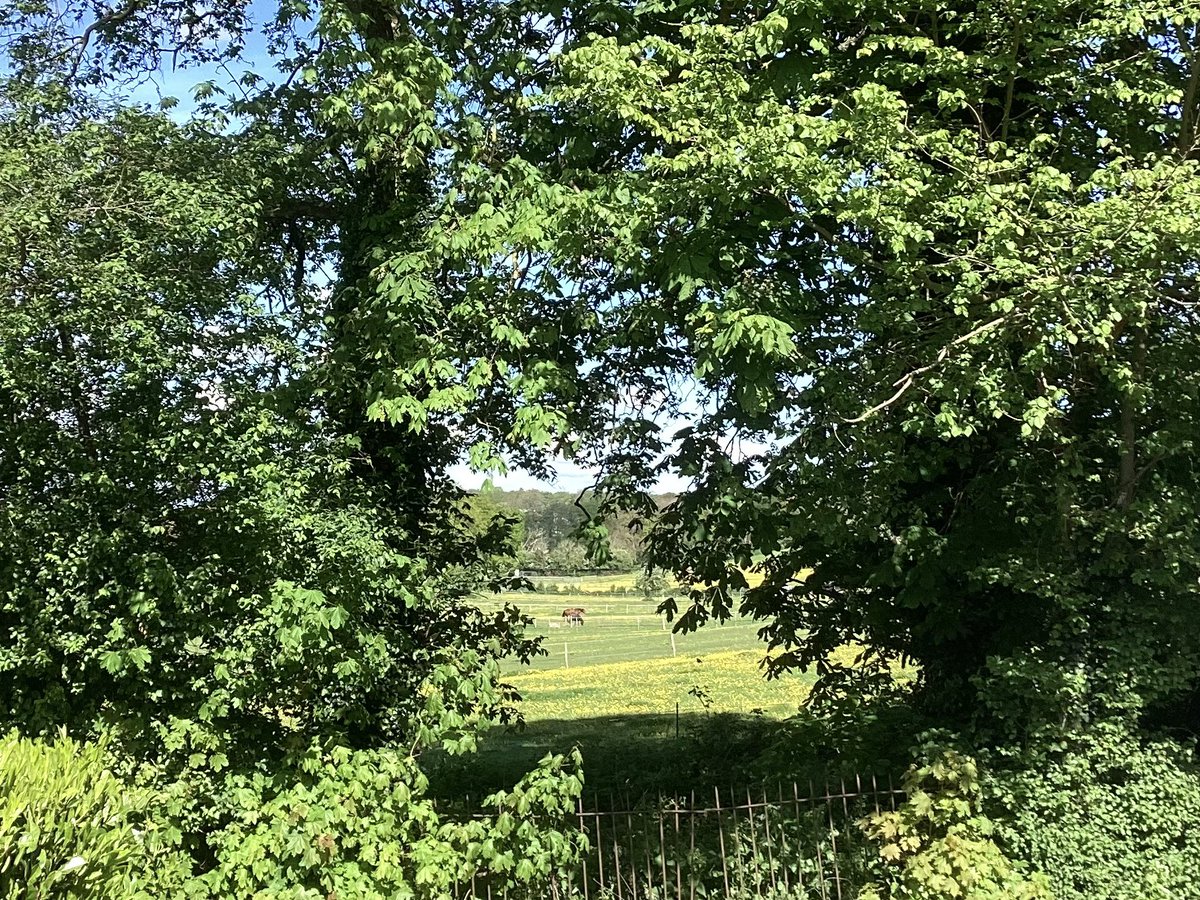 What a change from yesterday! I’ll put the boots and scarf away for a while. #keston #bromley #kent #myview #saturday @metoffice @bbcweather @itvweather @SallyWeather @ChrisPage90