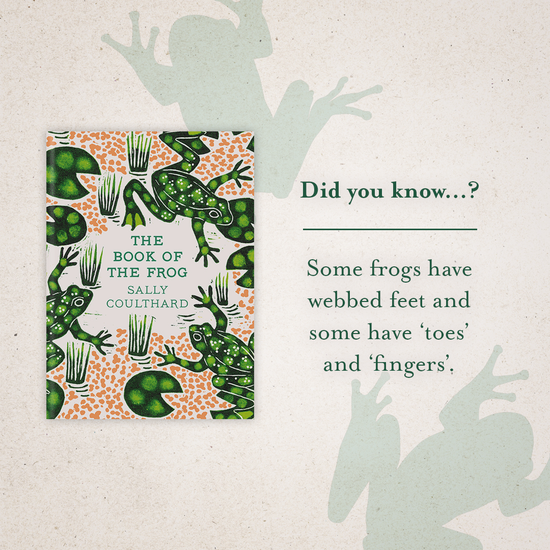 🐸Did you know…⁉🐸 Some frogs have webbed feet and some have ‘toes’ and ‘fingers’. @SallyCoulthard's upcoming #TheBookOfTheFrog is full of helpful advice on how to make your garden more frog-friendly. Out 9th May: bit.ly/3xIPEyc