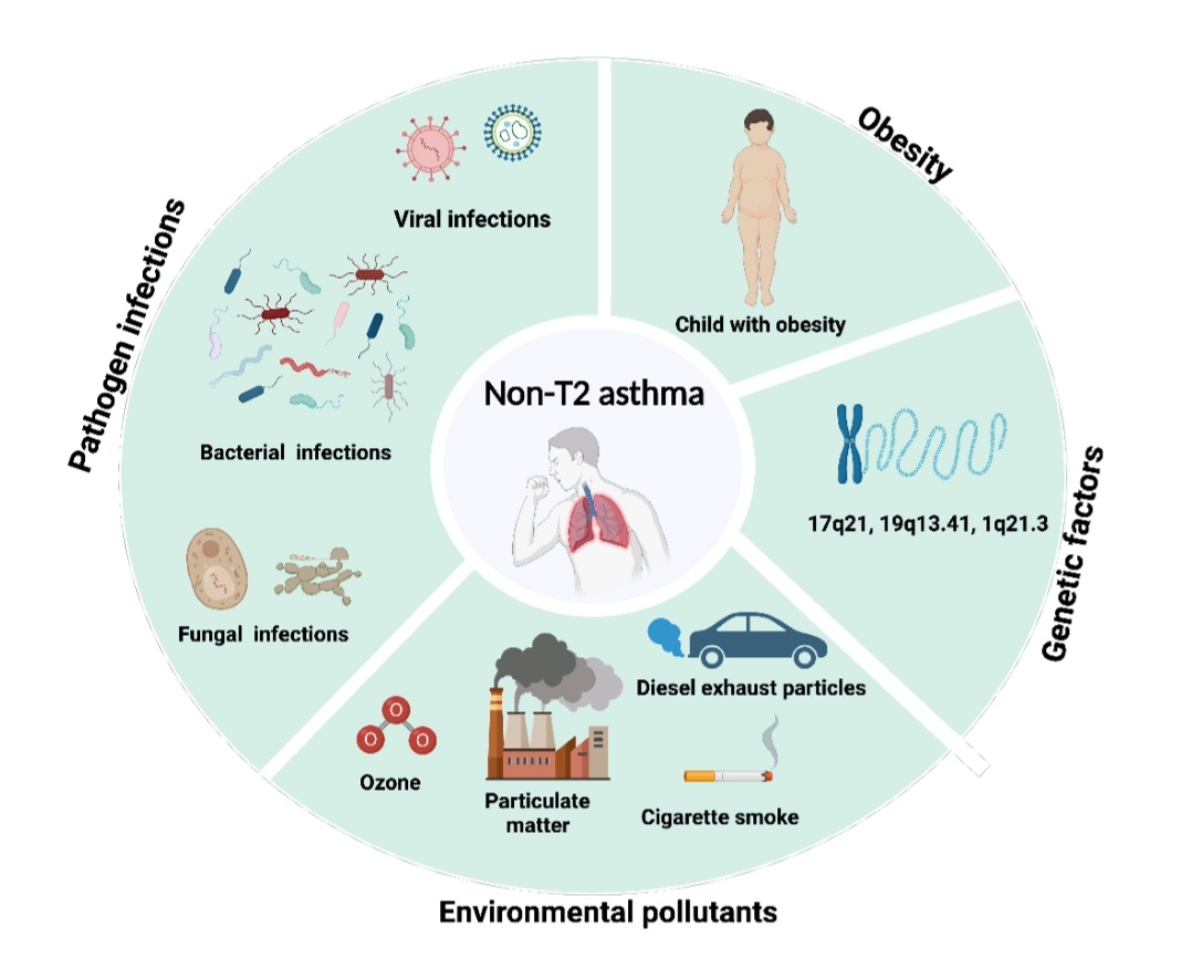 Now that a great advance in treating Type 2 #severeAsthma in recent decades, its time to advance the treatment of non-Type2 severe asthma as well. #Asthma #Type2Asthma Adressing #environmental factors is a good place to start. Pharmacology developing. erj.ersjournals.com/content/early/…