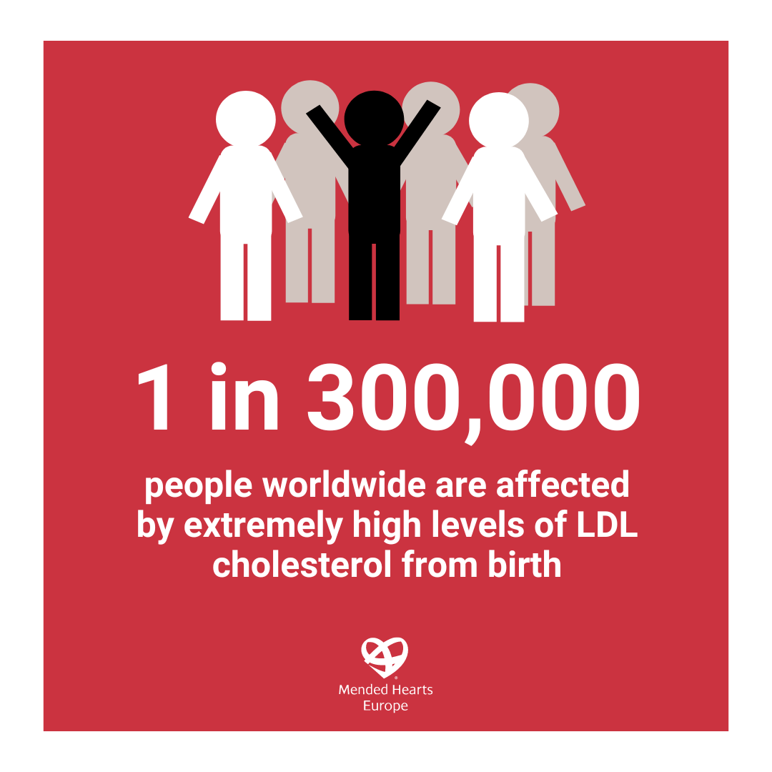 Today is HoFH Awareness Day 🌎
Homozygous Familial Hypercholesterolaemia is a genetic condition that poses a significant risk of #CVD from birth. Let’s raise awareness & advocate for early detection and appropriate care. Learn more at 👇
fhef.org/homozygous-fh/ 
@fhpatienteurope