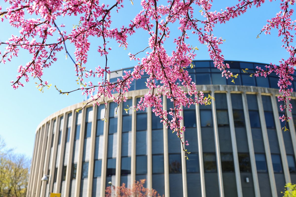 We’re proud to offer programs in environmental studies. Brian Wygal, PhD, professor of anthropology and director of environmental studies and sciences, speaks to these programs in an article with the New York Post: nypost.com/2024/04/21/lif… #AdelphiInTheNews