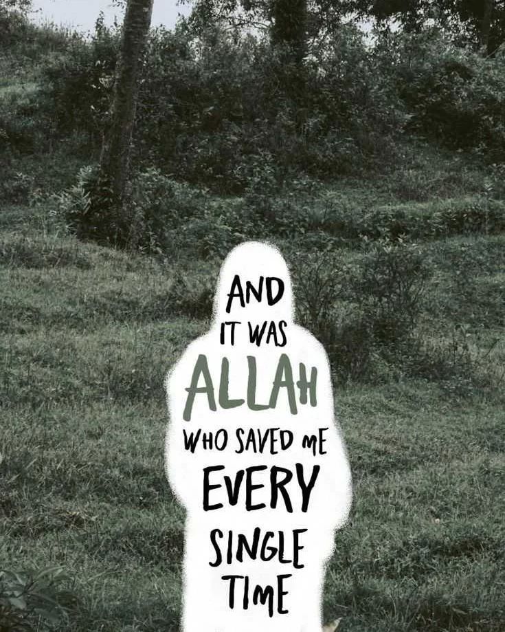 Al__Quraan's tweet photo. It was always Allah “ﷻ”

“Say, 'Never will we be struck except by what Allah has decreed for us; He is our protector.' And upon Allah let the believers rely.”

— Surah At-Tawbah [9:51] https://t.co/JCpGaEUsWC